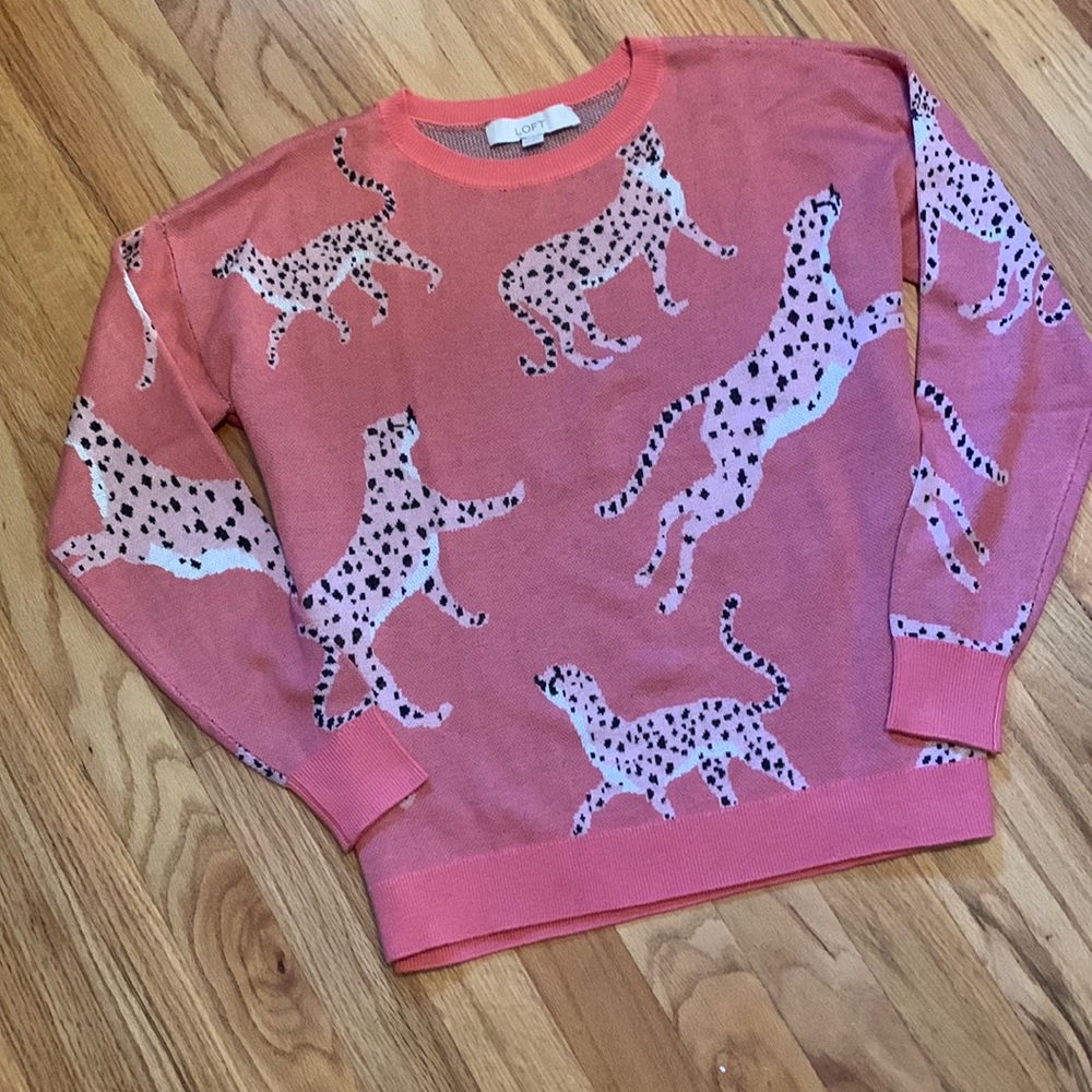Loft Cheetah Sweater Excellent Condition XS